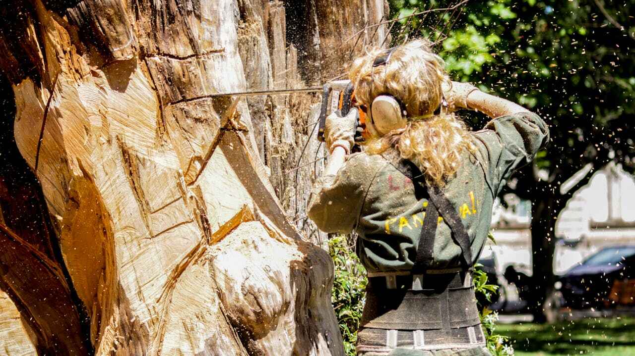 Best Tree Trimming Near Me  in Dresser, WI